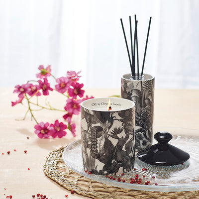 Fragrance sticks in porcelain holder Zanzibar  Black - Pink pepper - 100 ml
