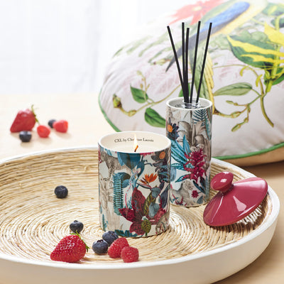 Fragrance sticks in porcelain holder Zanzibar  Pink - Red fruit - 100 ml