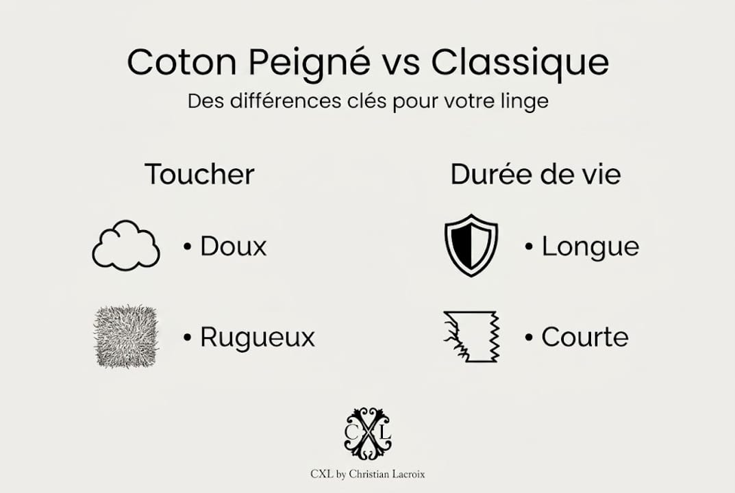 Infographie : les différences entre le coton peigné et le coton classique