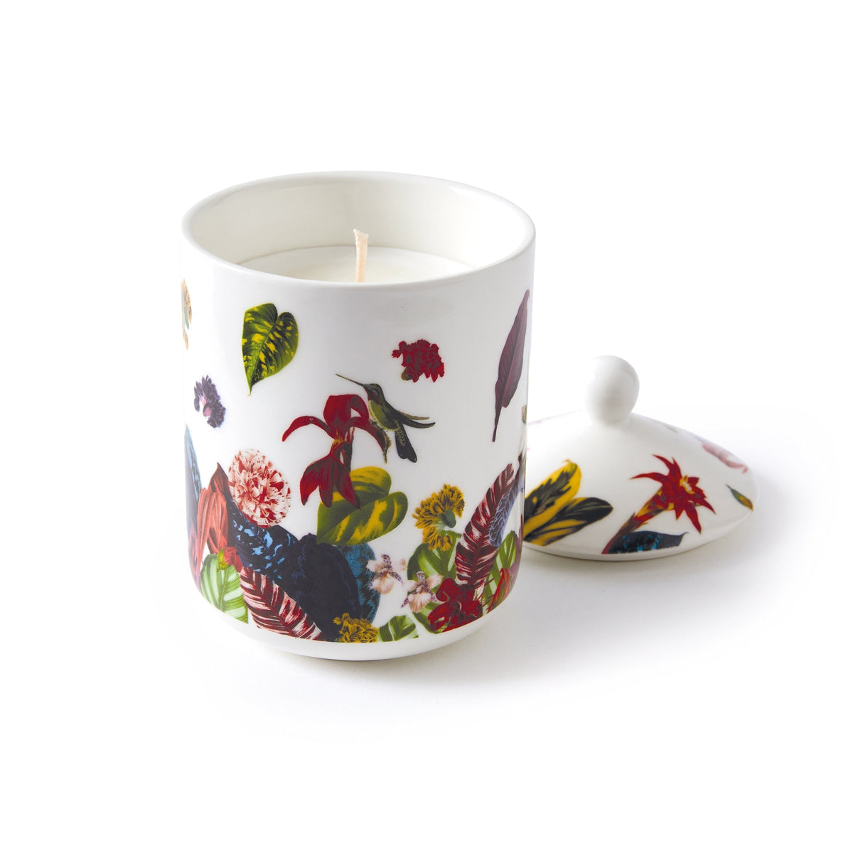Bougie parfumée en pot de porcelaine - Jardin Tropical - Figuier - durée de combustion 65h - 315 g - CXL by Christian Lacroix Maison