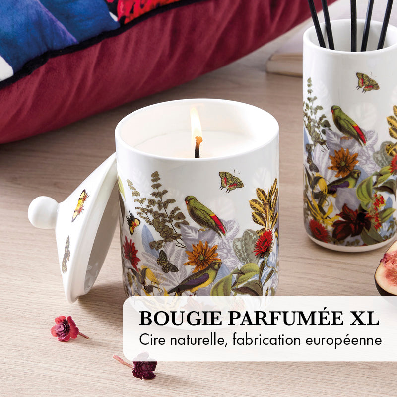 Pack Soirée Douillette - Taupe - CXL by Christian Lacroix Maison