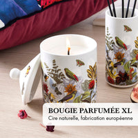 Pack Soirée Douillette - Taupe - CXL by Christian Lacroix Maison