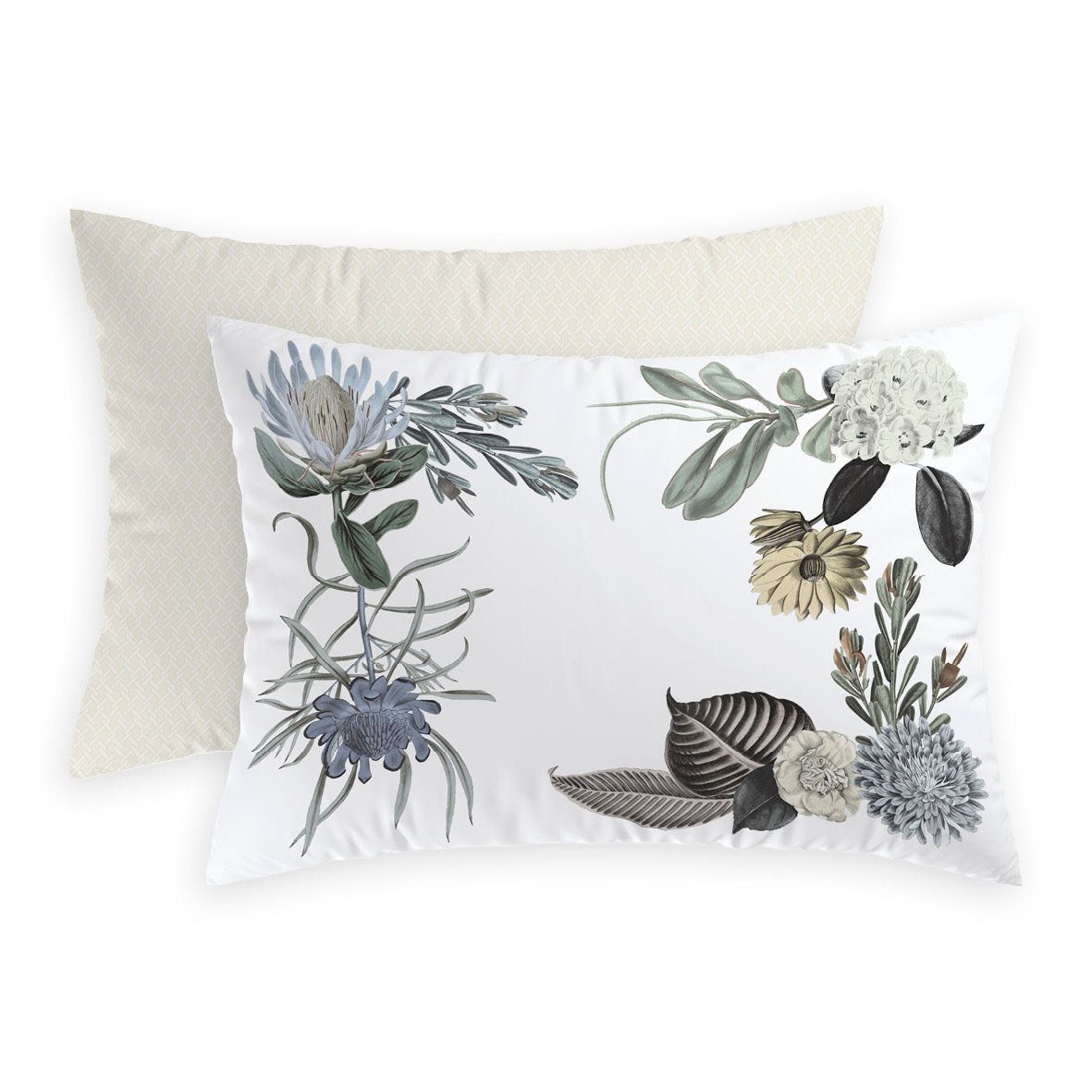 Taie(s) d'oreiller satin de coton - Garden taupe - CXL by Christian Lacroix Maison